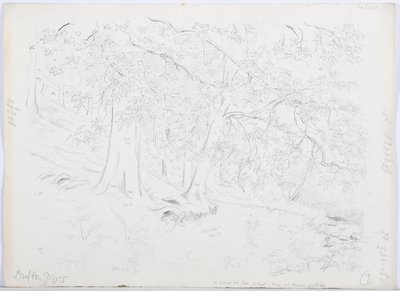 c.1916 by Daniel Oliver